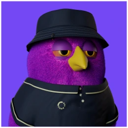 bird img