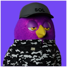 bird img