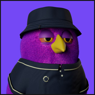 bird-img