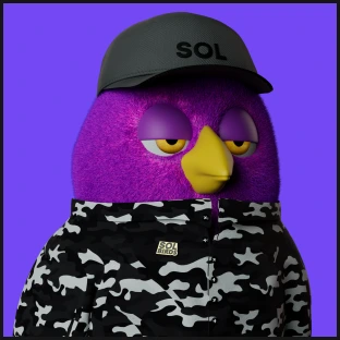 bird-img