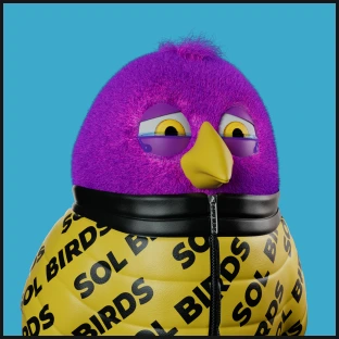 bird-img